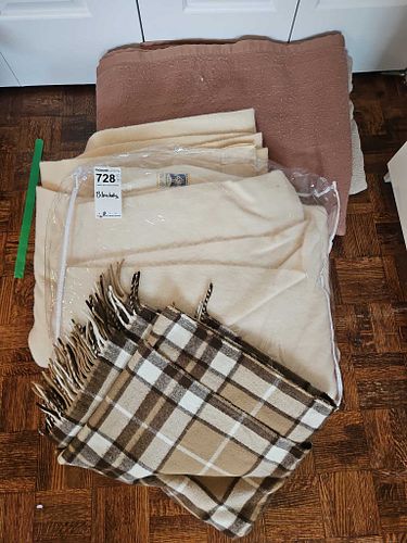 Lot #728 (1 of 13)