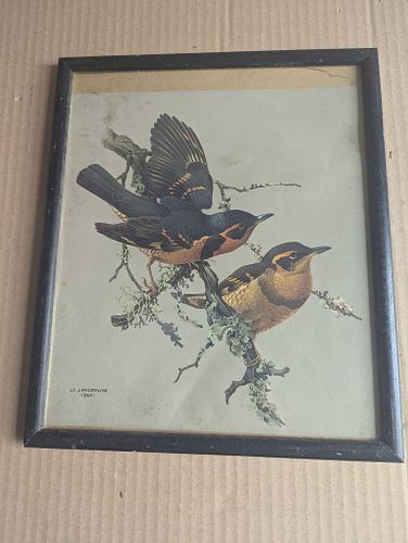 Lot #46 (1 of 3)