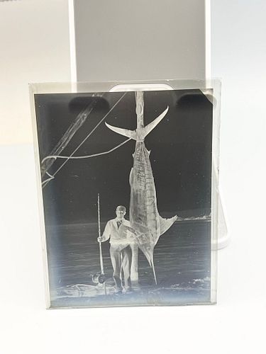Lot #1 (1 of 20)