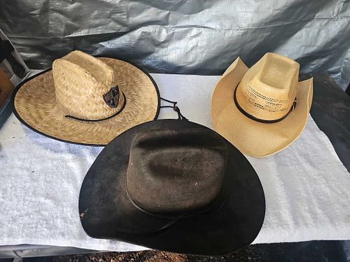 Lot #42 (1 of 10)