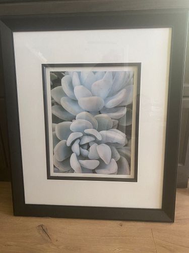 Lot #3 (1 of 3)