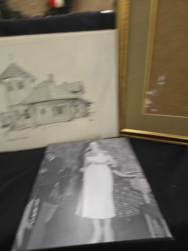 Lot #46 (1 of 5)