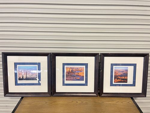 Lot #26 (1 of 10)