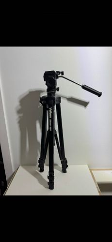 Lot #16 (1 of 6)