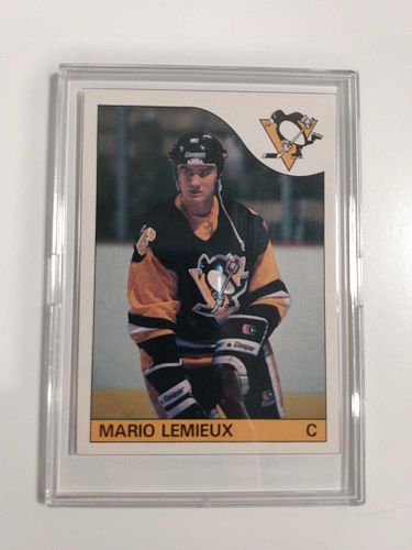 Lot #42 (1 of 8)