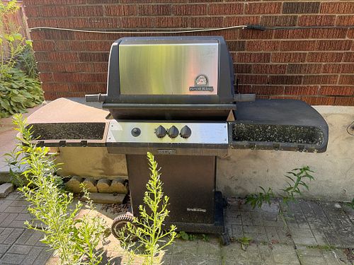 Lot #174 (1 of 11)