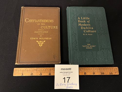 Lot #17 (1 of 10)