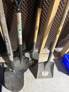 Lot #11 (1 of 6)