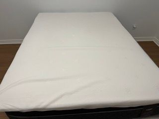 Lot #25 (1 of 7)