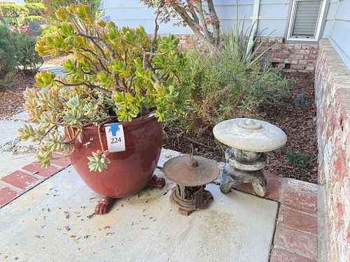 Lot #224 (1 of 5)