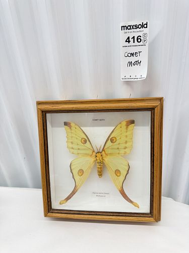 Lot #416 (1 of 4)