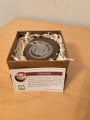 Lot #18 (1 of 7)