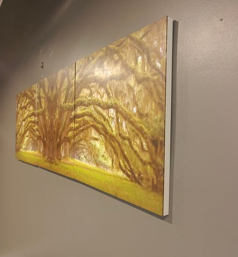 Lot #6 (1 of 3)