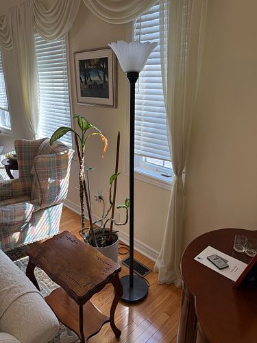 Lot #14 (1 of 5)
