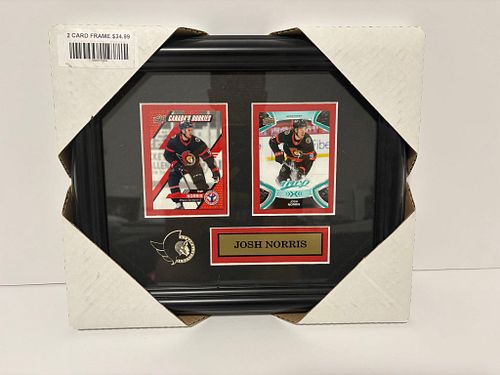 Lot #55 (1 of 3)