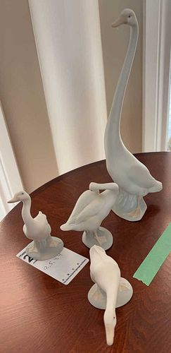 Lot #245 (1 of 13)