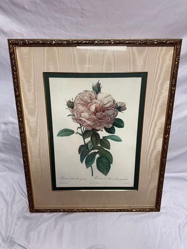 Lot #62 (1 of 4)