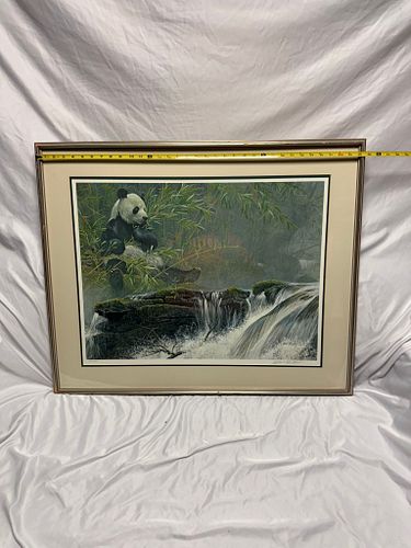 Lot #64 (1 of 4)