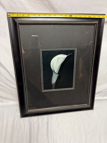 Lot #72 (1 of 3)