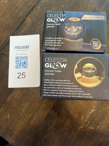 Lot #25 (1 of 3)
