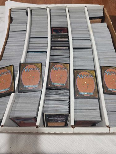 Lot #24 (1 of 8)