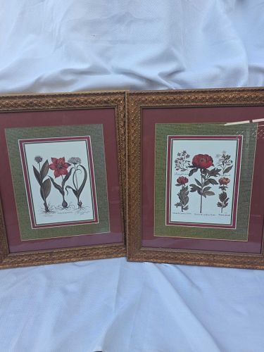 Lot #33 (1 of 6)