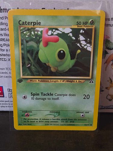 Lot #35 (1 of 3)