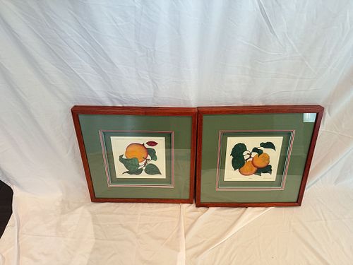 Lot #19 (1 of 9)