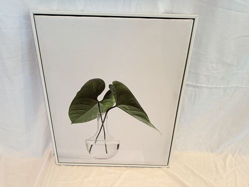 Lot #25 (1 of 5)