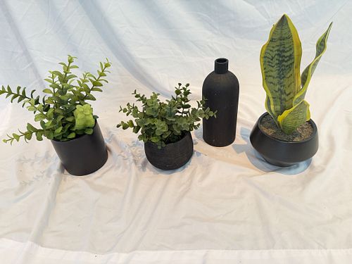Lot #49 (1 of 7)