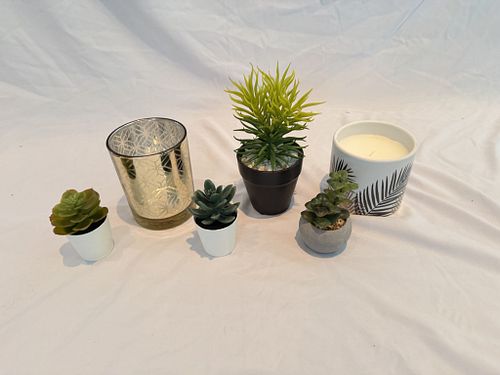 Lot #58 (1 of 6)