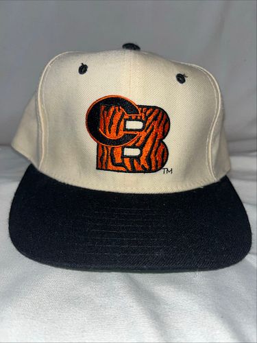 Lot #70 (1 of 3)