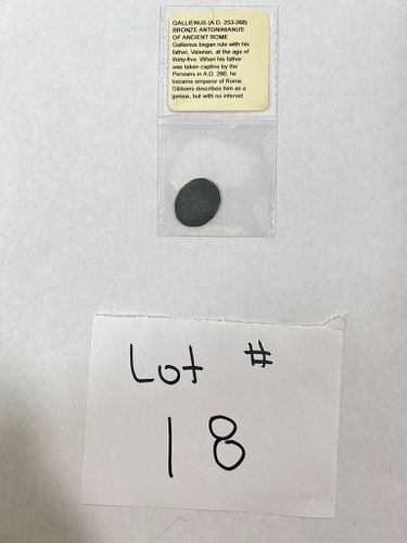 Lot #18 (1 of 5)