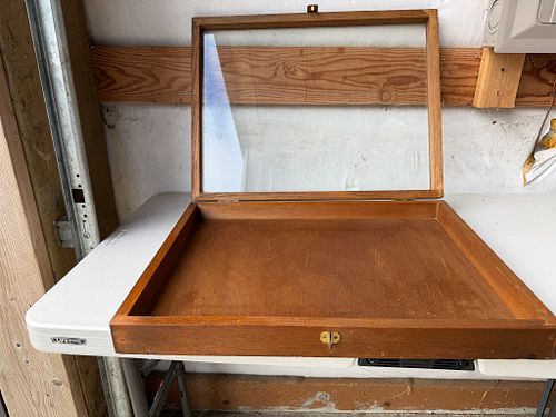 Lot #509 (1 of 5)