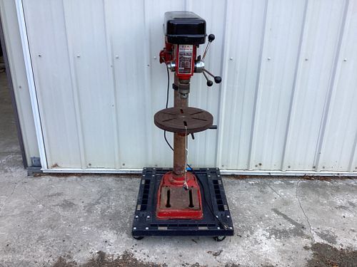 Lot #556 (1 of 6)