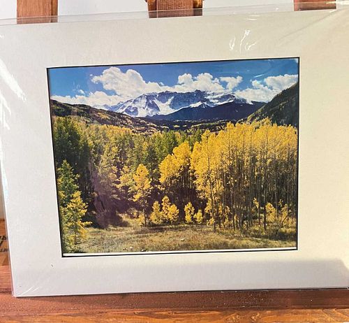 Lot #50 (1 of 10)
