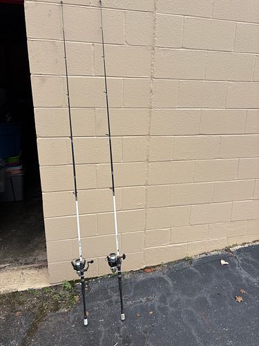 Lot #41 (1 of 6)