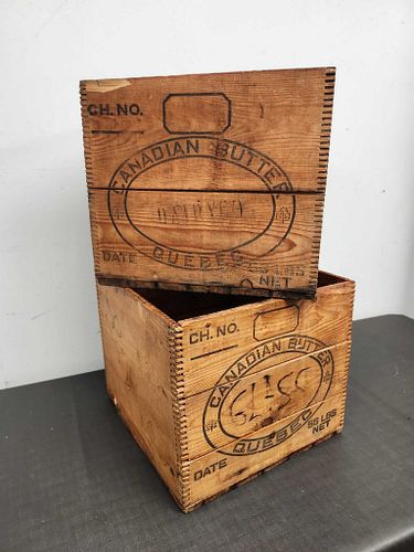 Lot #223 (1 of 5)