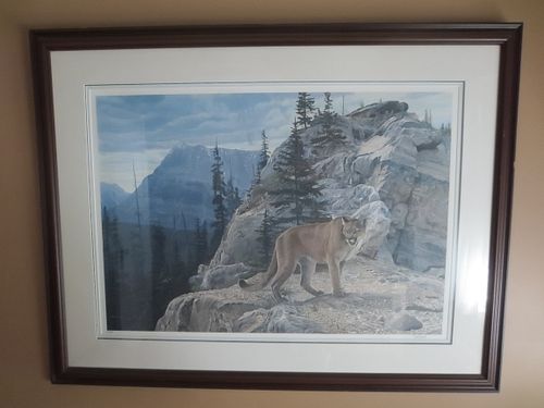 Lot #11 (1 of 3)