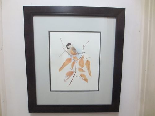 Lot #41 (1 of 3)