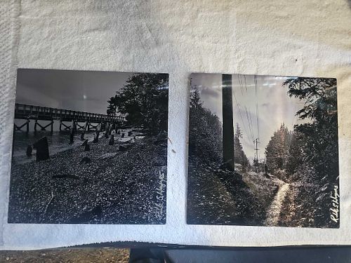 Lot #19 (1 of 8)