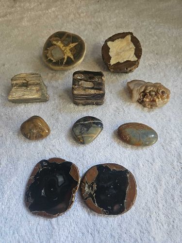 Lot #30 (1 of 11)