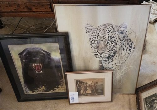 Lot #55 (1 of 7)