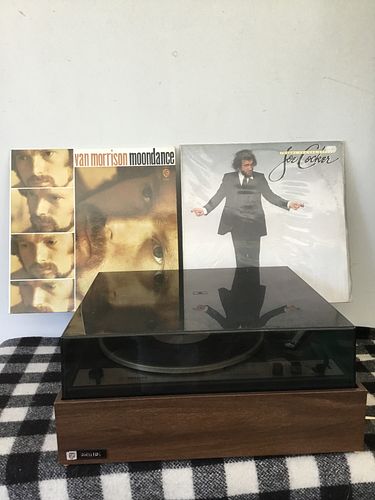 Lot #11 (1 of 5)