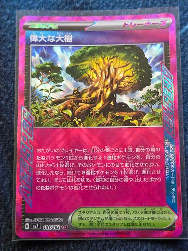Lot #148 (1 of 3)