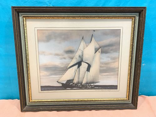 Lot #654 (1 of 8)