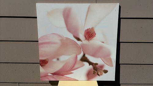 Lot #103 (1 of 7)