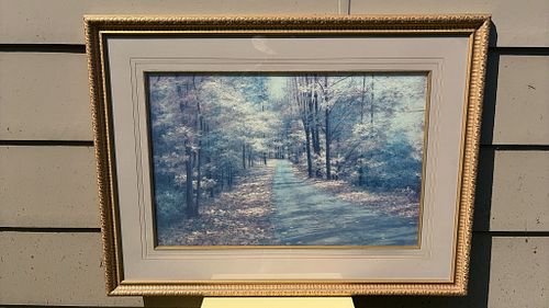 Lot #108 (1 of 6)