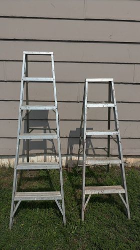 Lot #282 (1 of 12)