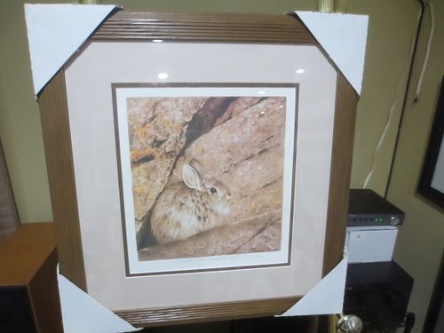 Lot #11 (1 of 3)
